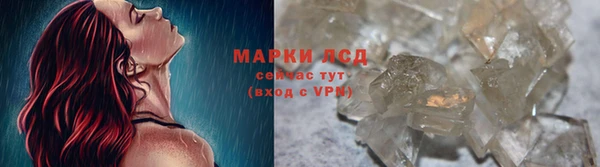 крисы Армянск