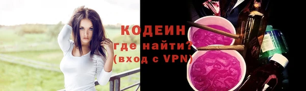 крисы Армянск
