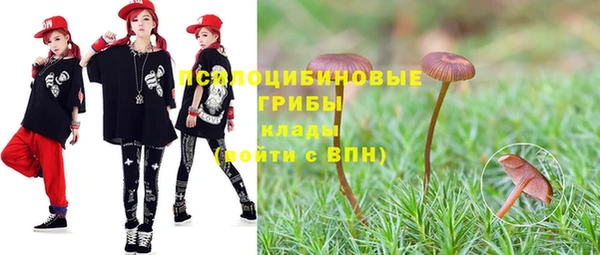 крисы Армянск