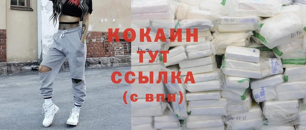 крисы Армянск