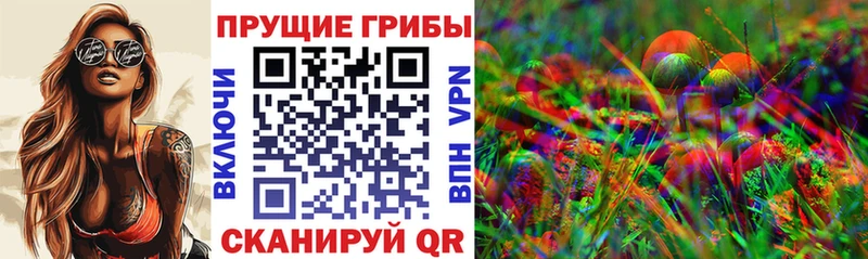 Псилоцибиновые грибы GOLDEN TEACHER  Армянск 